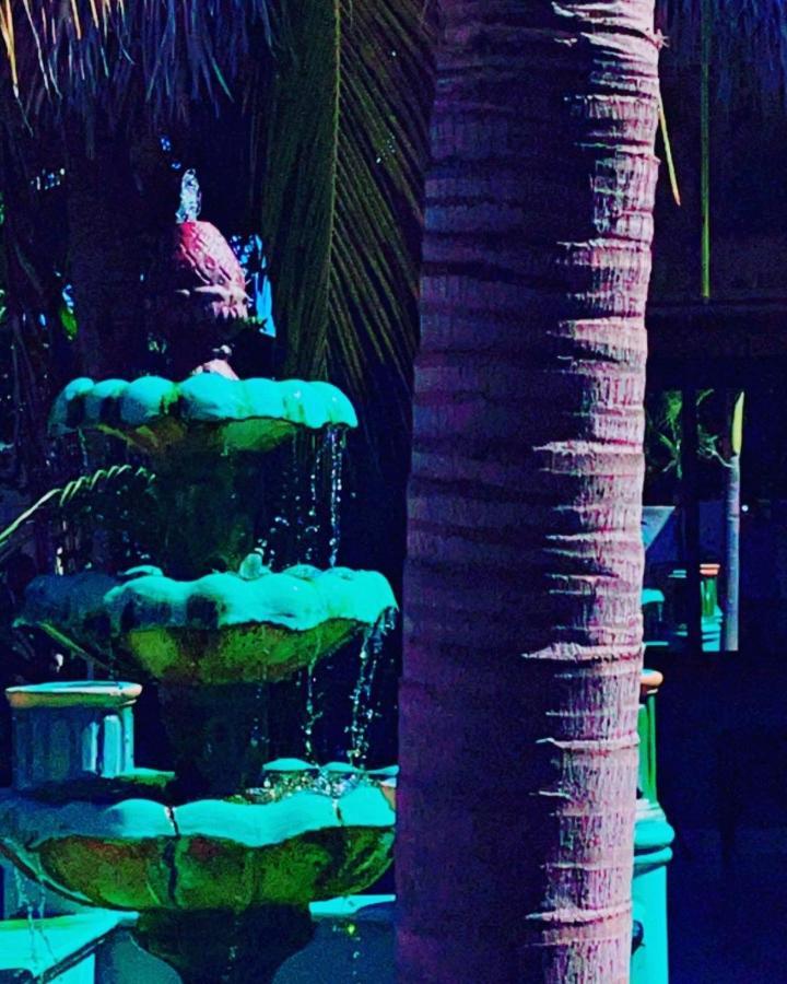 Sambo Mambo Beach Hotel El Cuco Zewnętrze zdjęcie